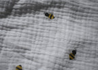 Camiseta Infantil de Algodón Orgánico Blanca - Manga Corta de Abejas